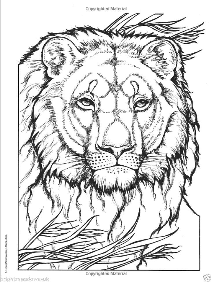 Download Pin On Colouring Pages