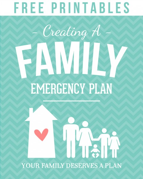 Family Emergency Binder, Family Binder, In Case Of Emergency, Emergency Kits, Emergency Response, Disaster Preparedness, Survival Prepping, Survival Skills, Survival Gear