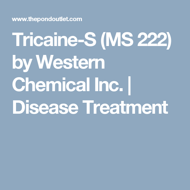 ms 222 ms 222