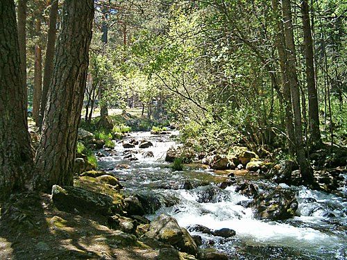 El Río De La Semana El Cega En La Provincia De Segovia Con Multitud De Lugares De Pesca Y Una Ruta Impresiona Bañarse En Madrid Comunidad De Madrid Pesca