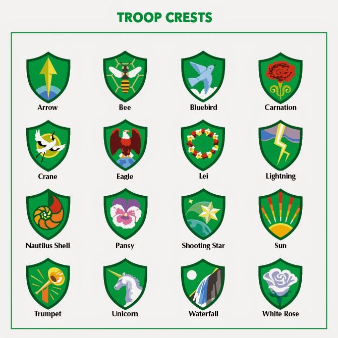 girl scouts troop leader