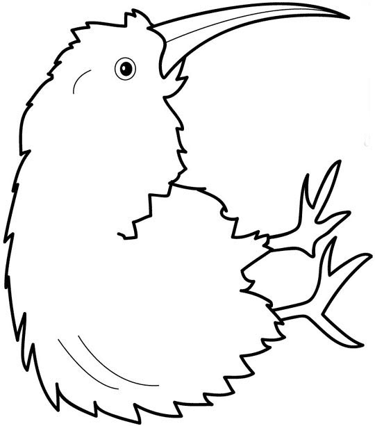 Kiwi Coloring Pages