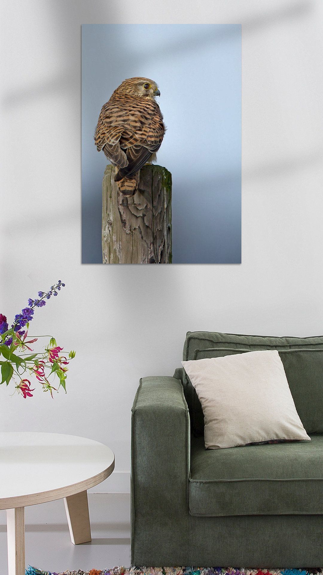 Koop het kunstwerk 'Torenvalk' van Menno Schaefer als schilderij op canvas, aluminium dibond, HD Metal, (ingelijste) fotoprint, behang, en meer. Canvas, Home Decor, Products, Tela, Decoration Home, Room Decor, Canvases, Home Interior Design, Gadget