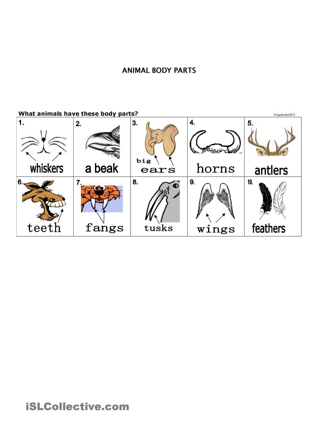 Pin On Teaching Ideas Worksheets