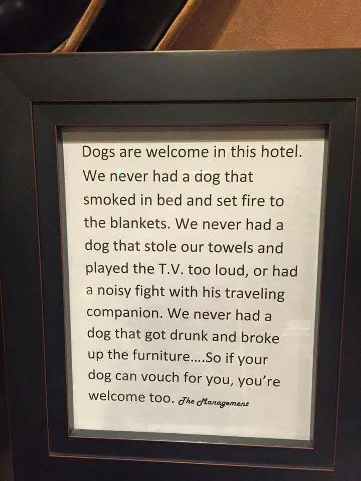 Pin By Sweetheart Tofive On Quotes I Like Luxury Dog Collars Dog pin-by-sweetheart-tofive-on-quotes-i-like-luxury-dog-collars-dog