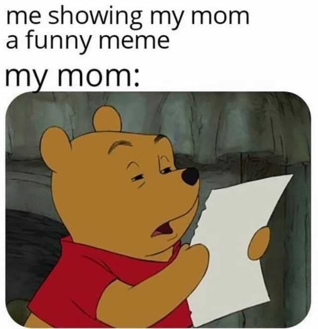 The Showing My Mom A Funny Meme Meme Is So Pure And Perfect Funny Memes Funny Gif Funny Wallpapers