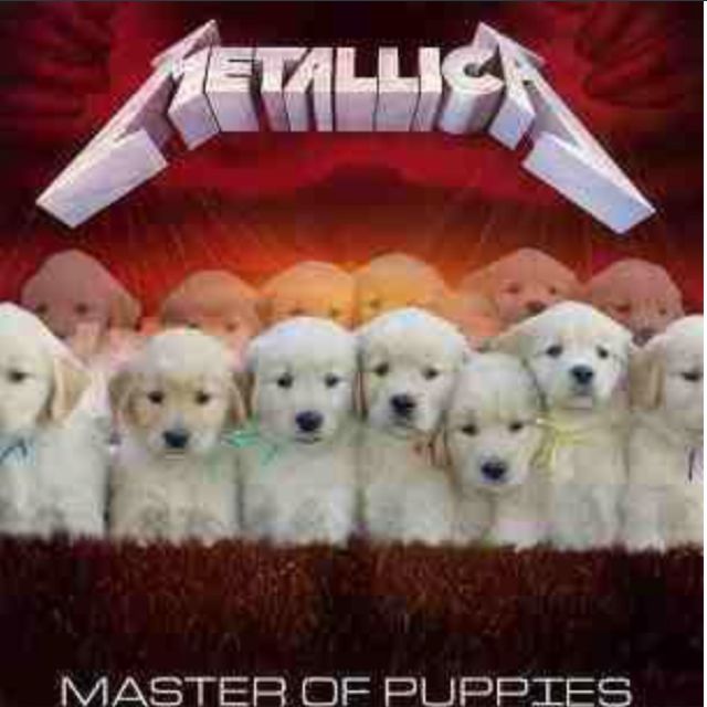 METALLICA Master of Puppies. Such a great album ) dog dogs
