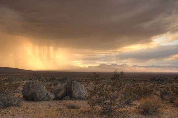 Desert Rain desert-rain