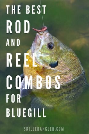 This is a close look at 3 of the best fishing rod and reel combos for bluegill, crappie and other panfish. There are specific things you want to look for in a bluegill fishing rod and reel. This article provides you with the information you need. You'll also find bluegill fishing tips and techniques. #bluegill #crappie #panfish #fishing #skilledangler Crappie Fishing Tips, Fishing Rigs, Fishing Lures, Fly Fishing, Fishing Tackle, Women Fishing, Fishing Stuff, Fishing And Hunting, Crappie Rigs
