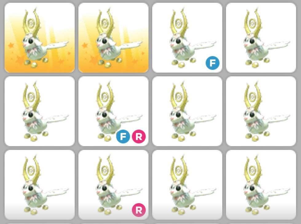 1. After making a purchase, we hope you stay connected with us, so that shipping goods is easier to do 2. After purchase, I will send you my username 3. I will add you 4. I will teleport to you in game and trade 5. (Random growth progress for each pet, can be Newborn, Post-teen, or FULL GROWN) 6. Please Leave positive feedback after trading (Thank You And Happy Shopping) 7. Don't worry if I can't respond immediately after your purchase. I may be sleeping or busy. If you want FAST shipping, messa Shadow Dragon, Game Item, Positive Feedback, Pet Shop, Username, Don't Worry, Pet Adoption, You And I, Happy Shopping