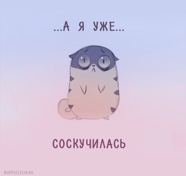 Открытки как я хочу тебя увидеть Открытки как я хочу тебя увидеть