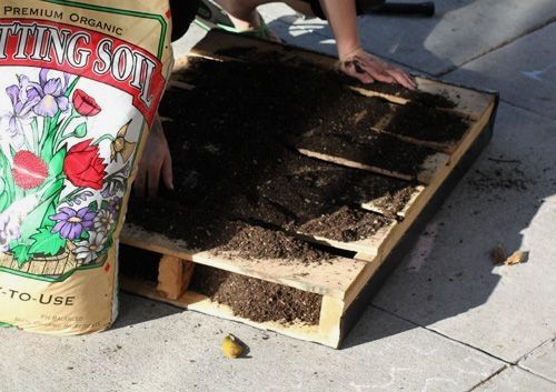 Dinge nach beachten für jedes einen schönen Garten Grundprinzipien der Gart...