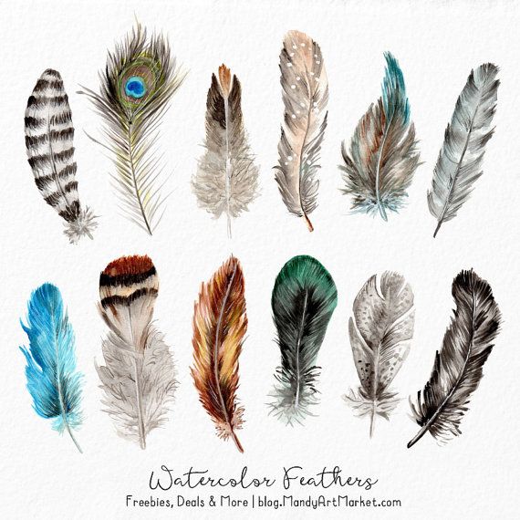 watercolor feathers clipart watercolour