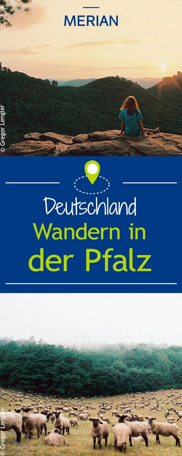 Single wandern pfalz