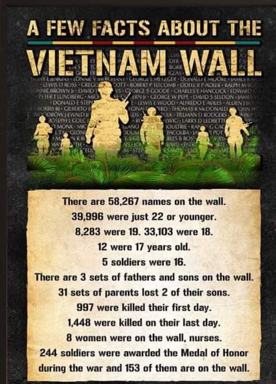 Facts about the Vietnam Wall – Here is another infographic I saw on Facebook and wanted to share with my readers. This one shares a few facts about the Vietnam Wall. #VietnamWall Military Quotes, Military Life, Military History, Usmc Quotes, American Soldiers, American Heroes, American History, Vietnam Vets, Vietnam War Photos