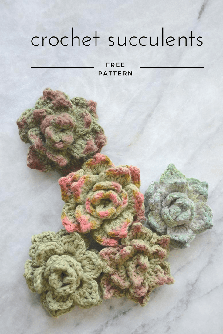 Crochet Succulents