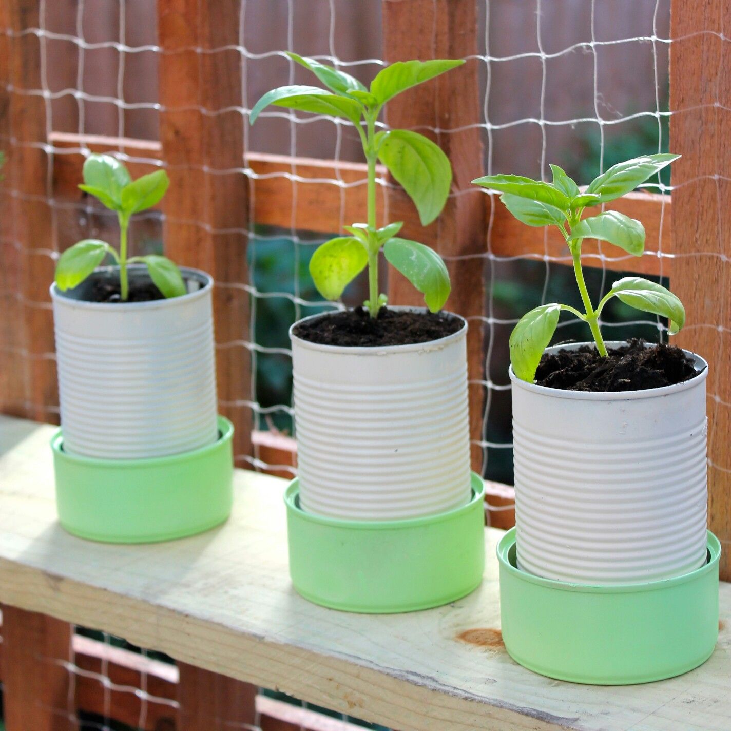 Pin by Helena Wall on Flower pot Drip tray diy, Diy