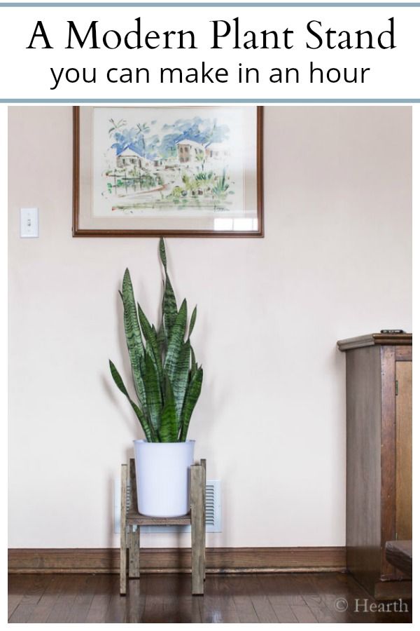 Modern Plant Stand Tutorial That Can Easily Be Made In An Afternoon