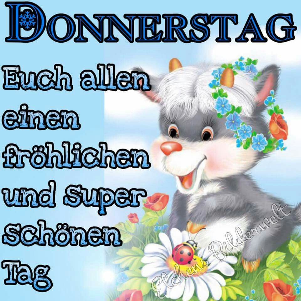 Donnerstag Lustige Bilder Donnerstag Lustige Bilder