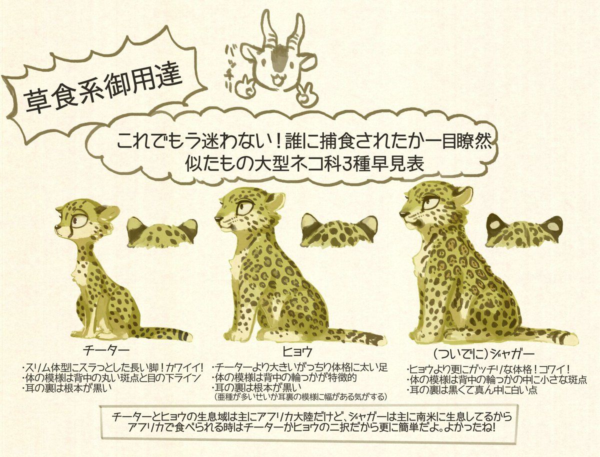 ボード 雑学 のピン ボード 雑学 のピン