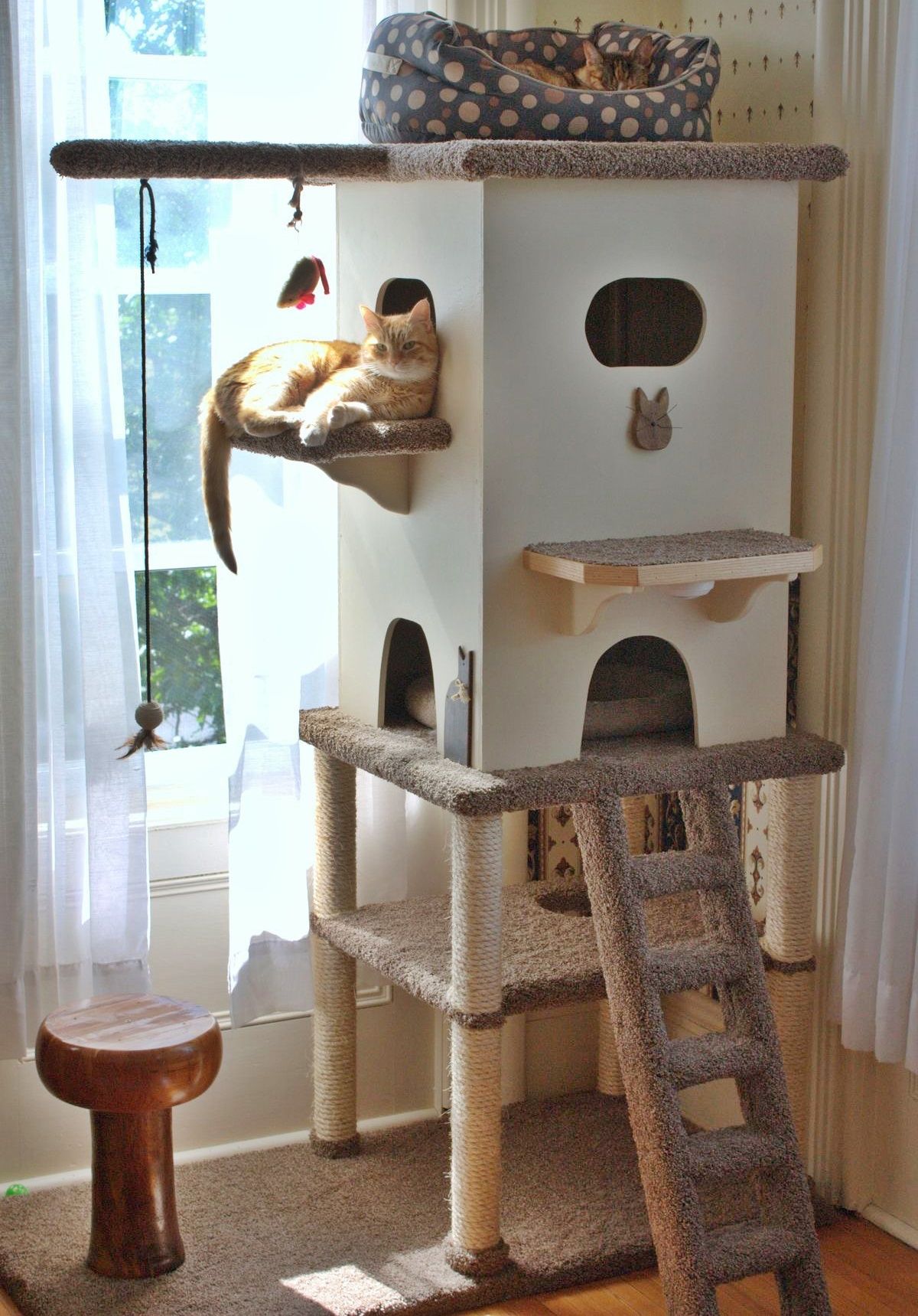 Apollo Would Love This Apollo Would Love This