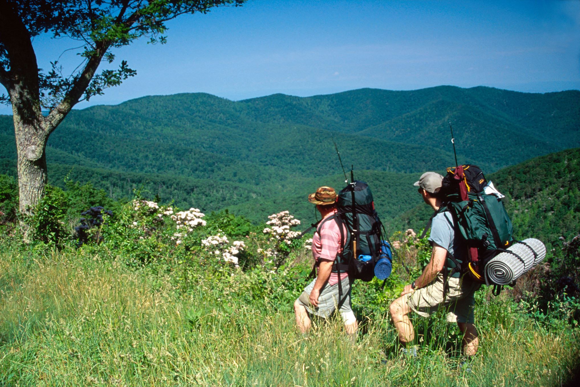 national parks appalachian trail