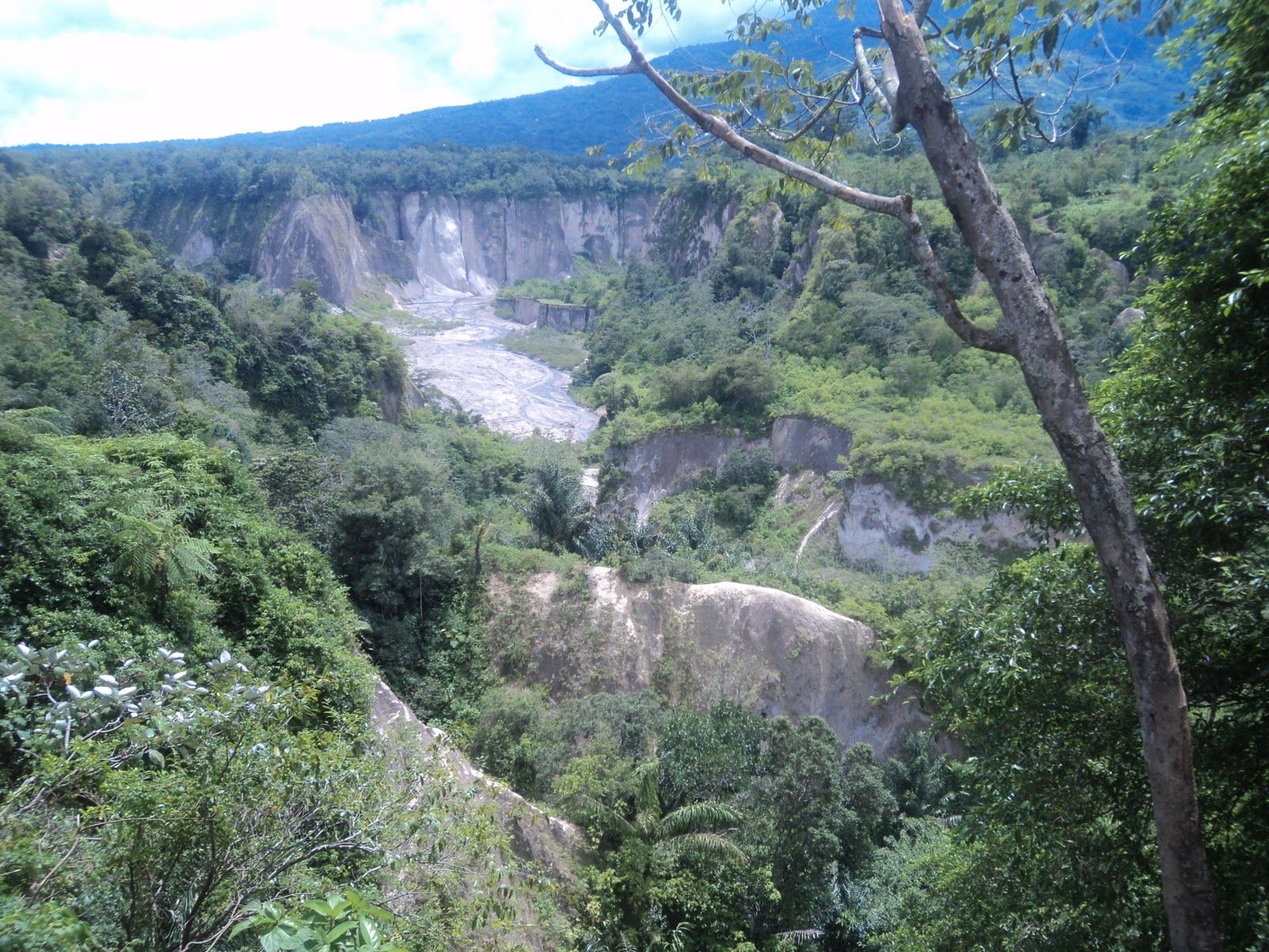 Indonesia. Sumatra. Rainfall in the canyon 53 Indonesia. Sumatra. Rainfall in the canyon 75