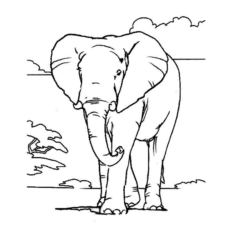 Coloriage Elephant D Afrique Coloriage Halloween A Imprimer Elephant Humanoid Sketch Art Coloriage Elephant D Afrique Coloriage Halloween A Imprimer Elephant Humanoid Sketch Art