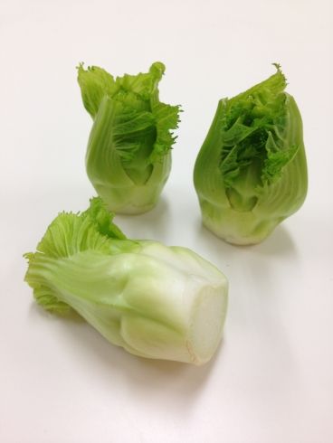 蕾菜 つぼみな 果物 野菜 青果物 蕾菜 つぼみな 果物 野菜 青果物
