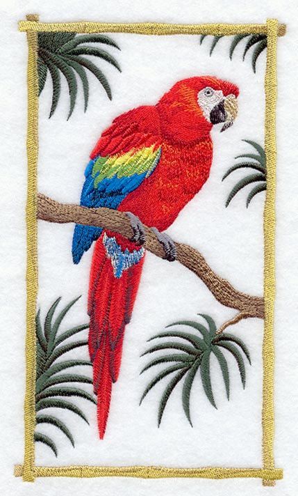 Macaw Embroidery Design 5 Different Sizes for Instant Download