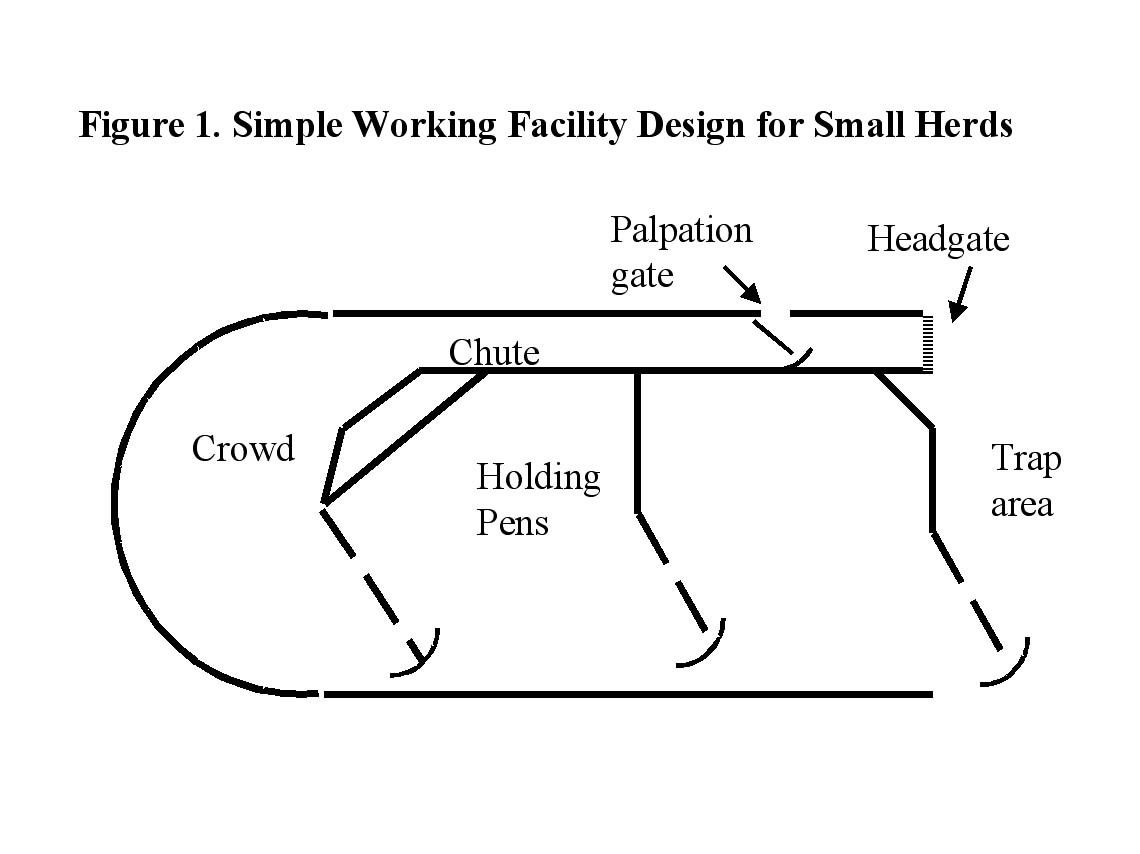 Cattle Corral Designs Layouts Beef Cattle Working Facility Designs cattle-corral-designs-layouts-beef-cattle-working-facility-designs