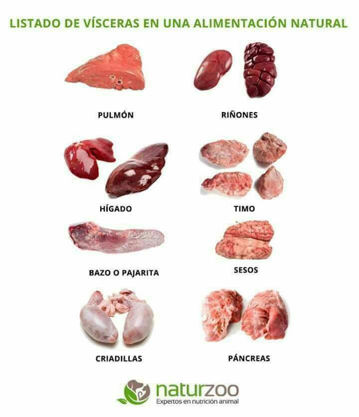 Pin De Ade Rojas En My Beautiful Pet Dieta Barf Perros Alimentos Prohibidos Para Perros Recetas De Comida Para Perros
