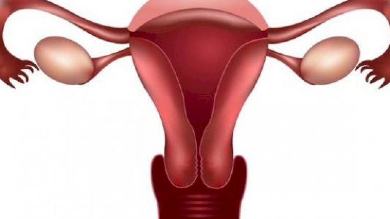 ما هي أعراض ضعف المبايض Ovarian Symptoms