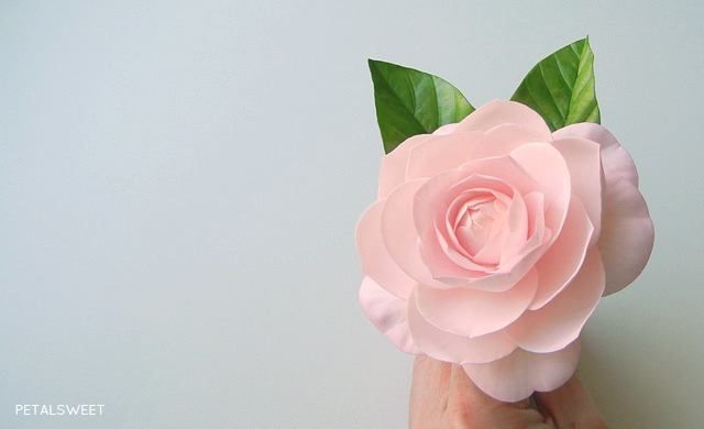 Camelia 1 The Sugar Garden Sugar Flowers Cake Fondant Flower Tutorial Sugar Flowers