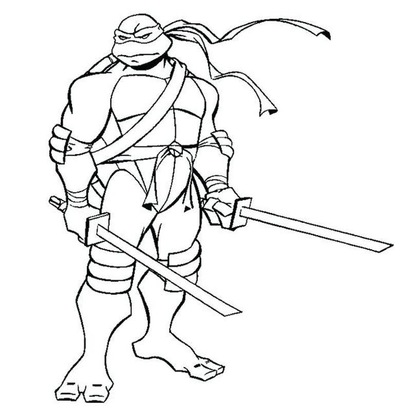 Talena Ninja Turtle Coloring Pages Ninja Turtle