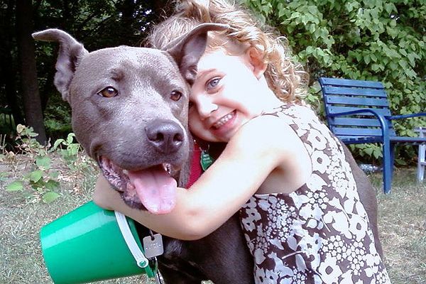 5 Reasons So Many Pit Bulls Love Kids Stubbydog Investigates Why 5 Reasons So Many Pit Bulls Love Kids