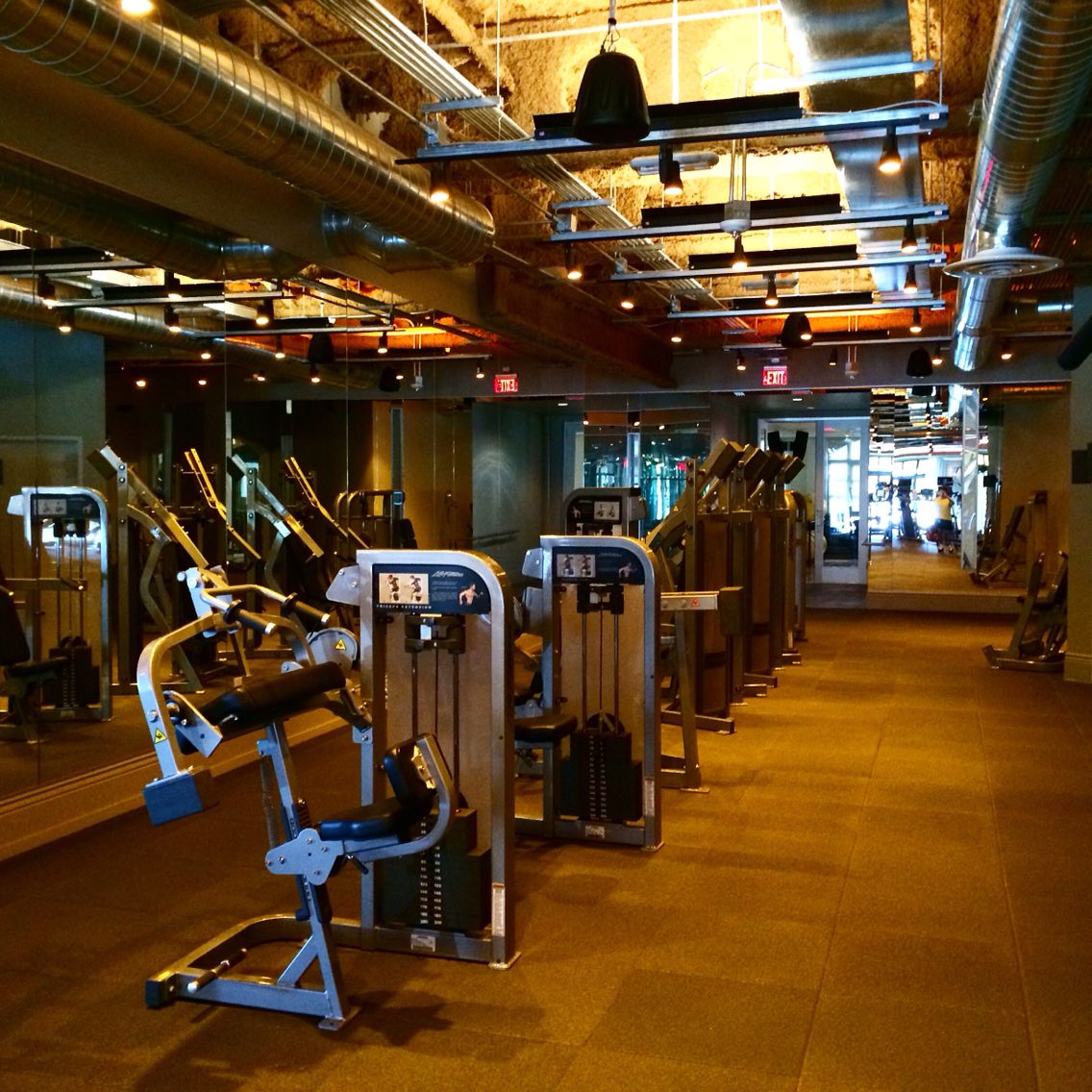 david barton gym chicago
