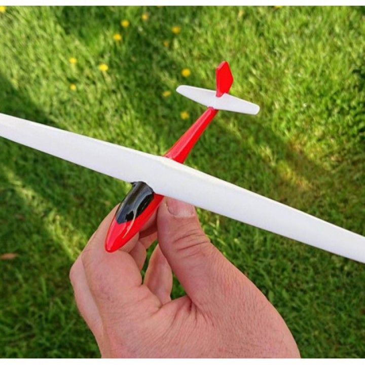 Glider, printed, painted Glider, printed, painted