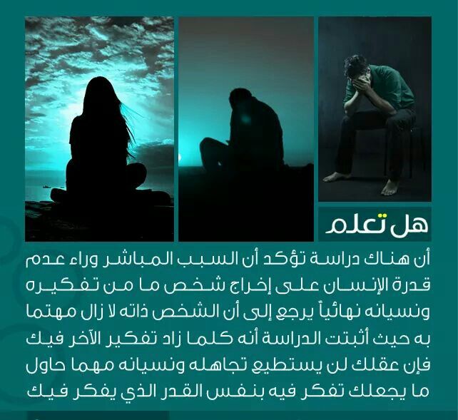 Pin بواسطة Rayan Zubedat على MLMLMMF اقتباسات مضحكة اقتباسات إيجابية حقيقية