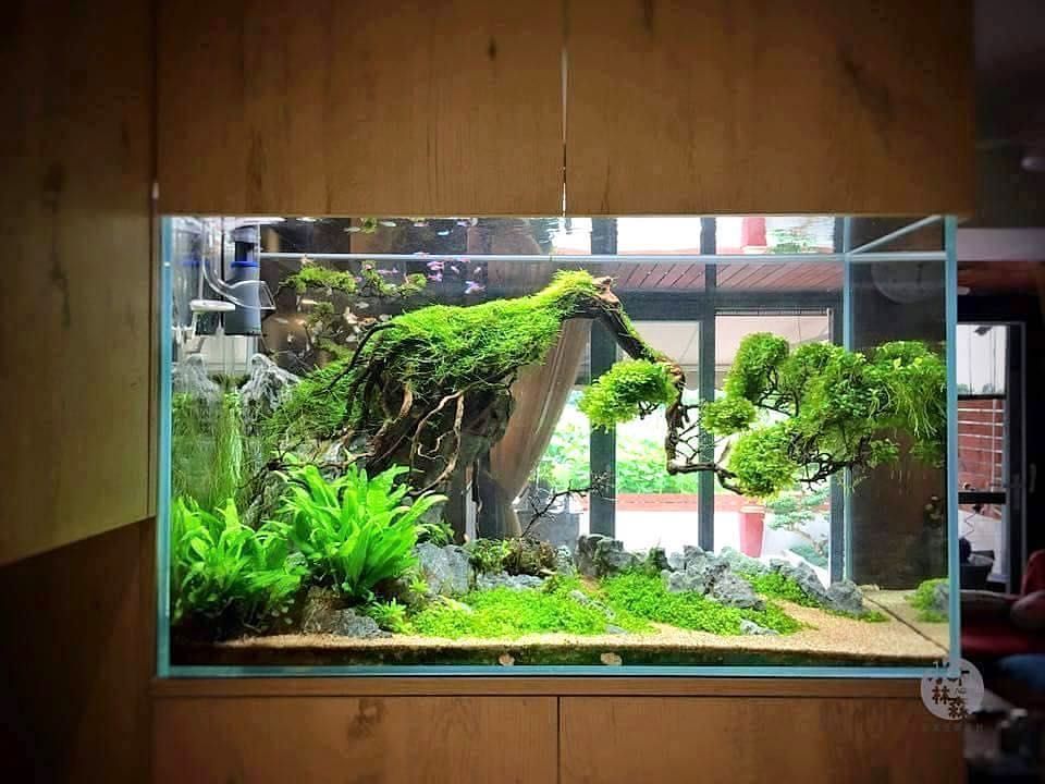 fish tank for office floor standing would you want this tank in your office find this scap diy aquarium office fish tank for office floor standing would you want this tank in your office find this scap diy aquarium office