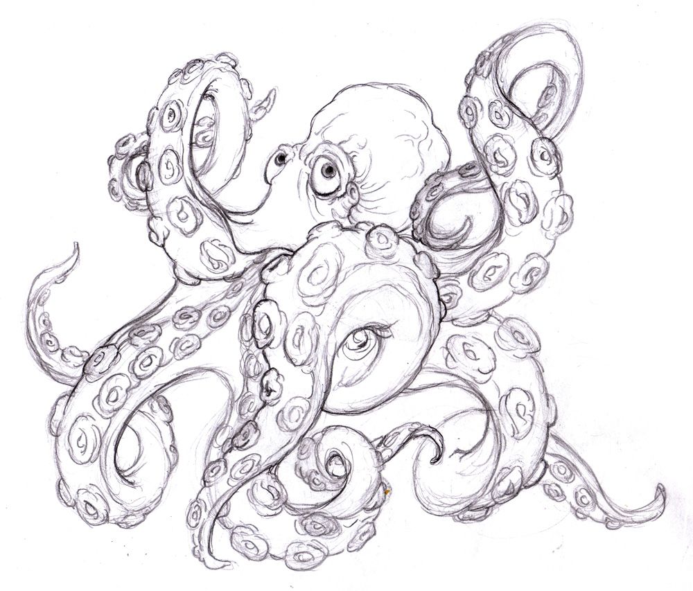 octopus drawing tumblr Google Search Octopus drawing, Octopus sketch, Tentacle art octopus drawing tumblr Google Search Octopus drawing, Octopus sketch, Tentacle art
