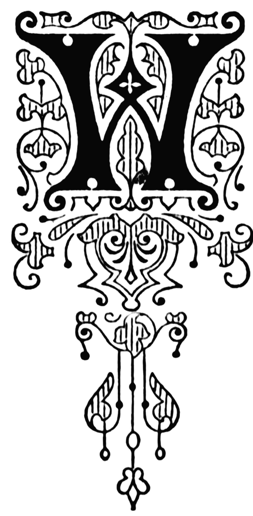 w ornate initial arts letters pinterest initials and fonts illuminated letter w