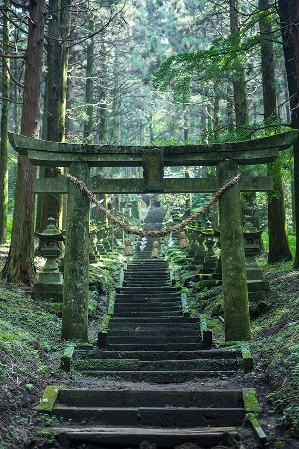 異世界すぎる！「上色見熊野座神社」で、神秘の世界にトリップしてきた│観光・旅行ガイド