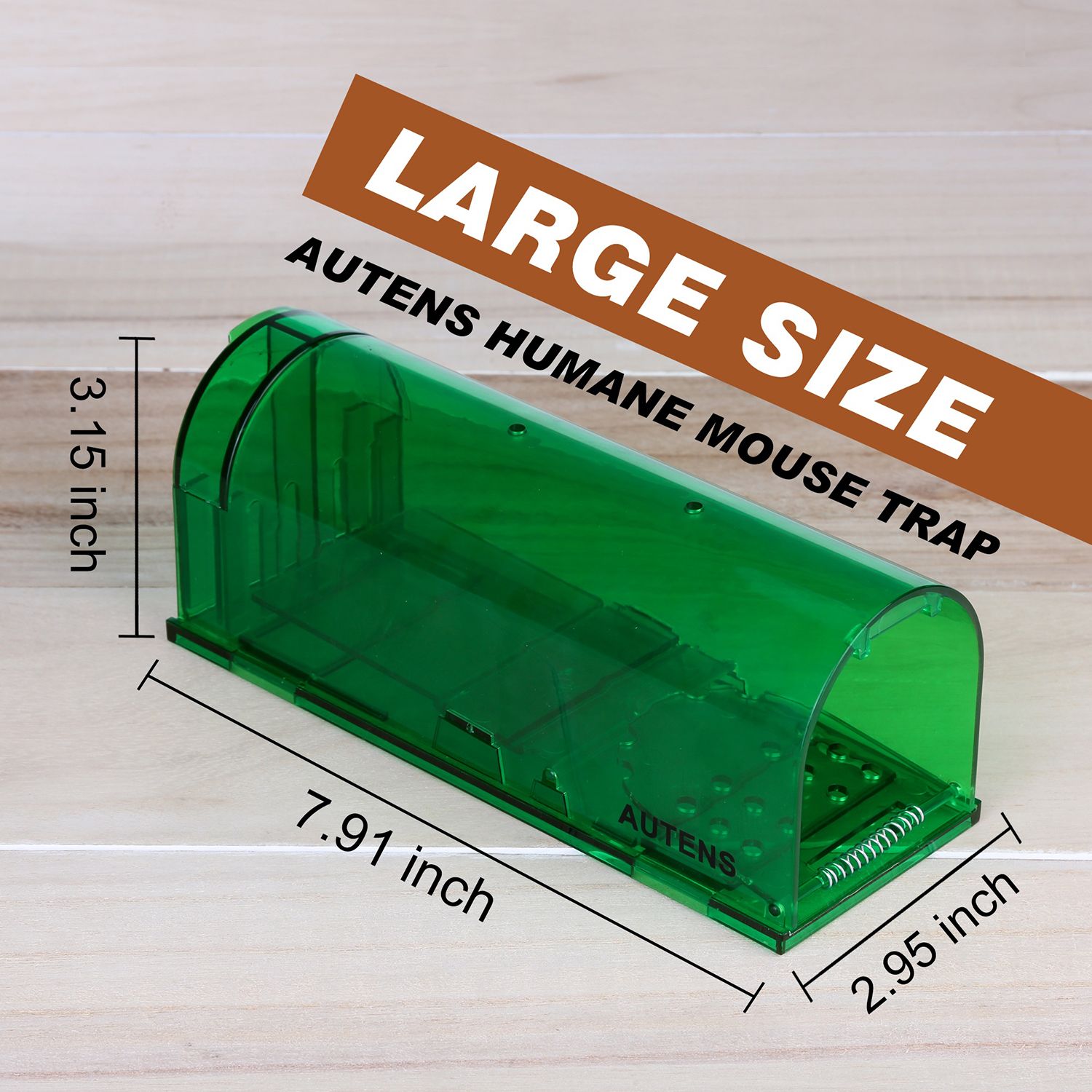 how to set a mole trap uk