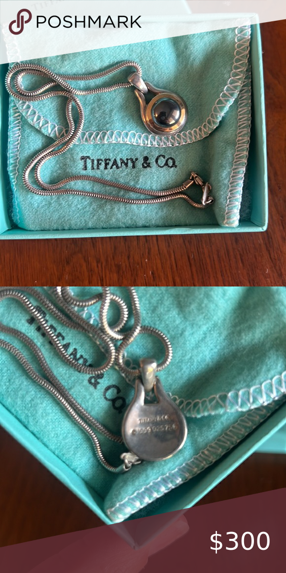 Tiffany & Co Authentic Hermatite Pendant Rebecca Minkoff Mac, Tiffany & Co., Wallet On A Chain, Authentic, Shop My, Crossbody, Best Deals, Pendant, Closet