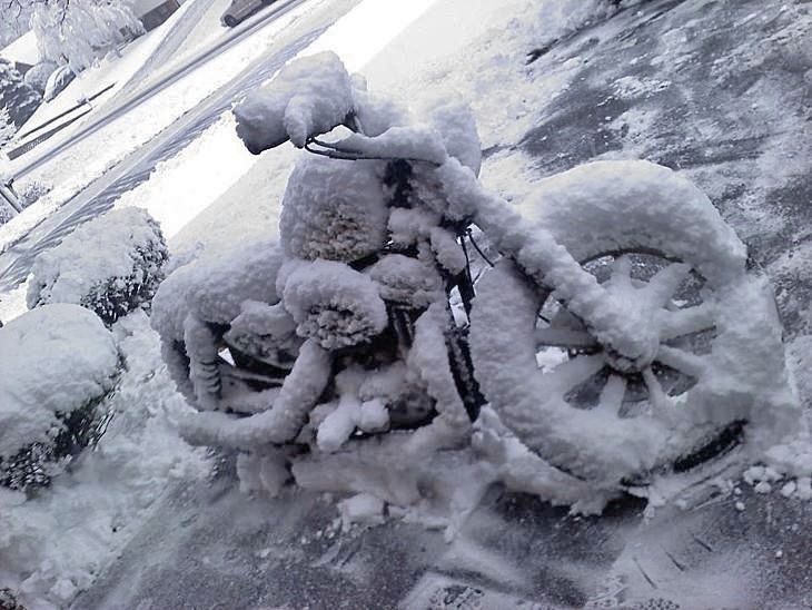 Photo of the Day: Harley Covered with Snow | Motorcycle cover, Harley,  Harley davidson