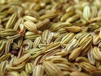Benefits of fennel tea