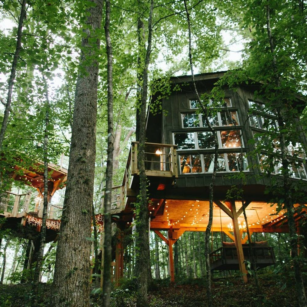 best tree house airbnb best tree house airbnb