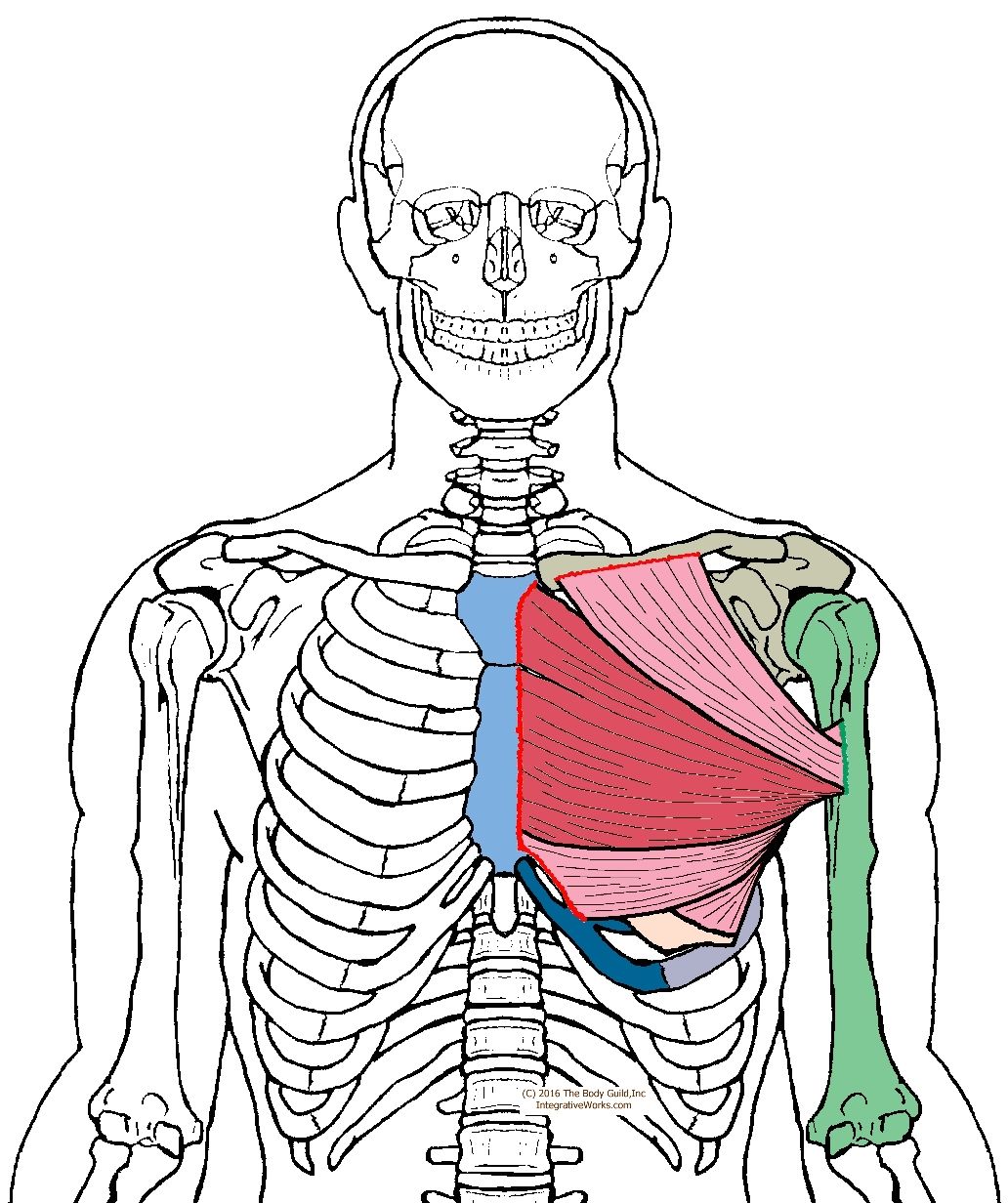 Pin On Posture Pin On Posture