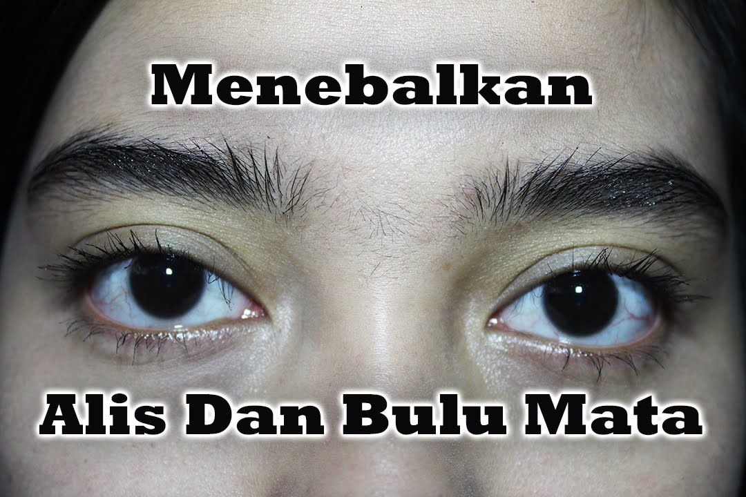 Review Vaseline Petroleum Jelly Untuk Bulu Mata Berbagai